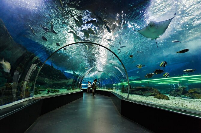 Dubai Aquarium and Underwater Zoo Entry Tickets - Booking Process and Assistance