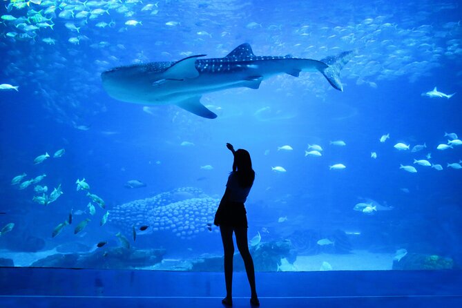 Dubai Aquarium and Underwater Zoo - Cancellation Policy