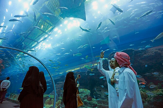 Dubai Aquarium & Underwater Zoo - Common Questions