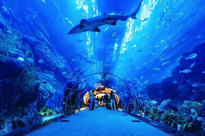Dubai Mall Aquarium and Underwater Zoo Tickets With Transfers - Common Questions