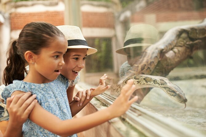 Dublin Zoo Skip-the-line Tickets and Private Transfers - Important Information and Policies