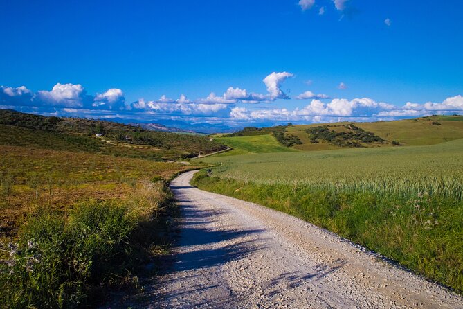 E-Bike Rent Sierra De Las Nieve (Alozaina). Free GPS Tracks and App Included. - Additional Information