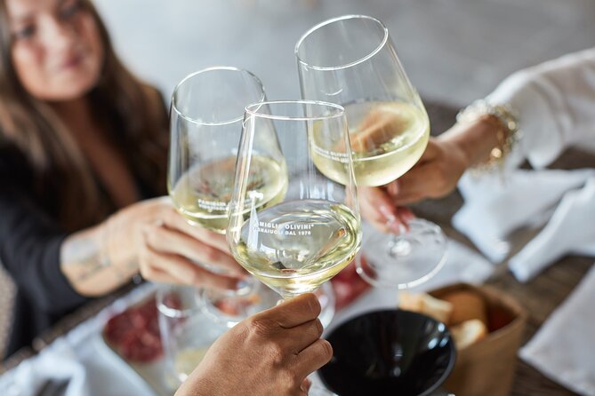 E-Bike Tour and Wine Tasting From Desenzano Inland - Wine Tasting at Desenzanos Finest Vineyards