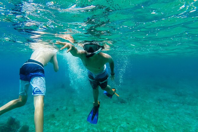 E-bike West Coast Snorkeling Tour - Reviews and Feedback