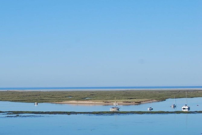 Eco Boat Tour in the Ria Formosa Lagoon From Faro - Questions, Pricing, and Additional Information