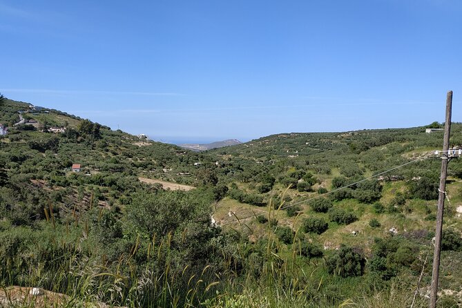 Ecobike All Inclusive - 2 Day Tour - Discover the Real Crete - Sample Menu