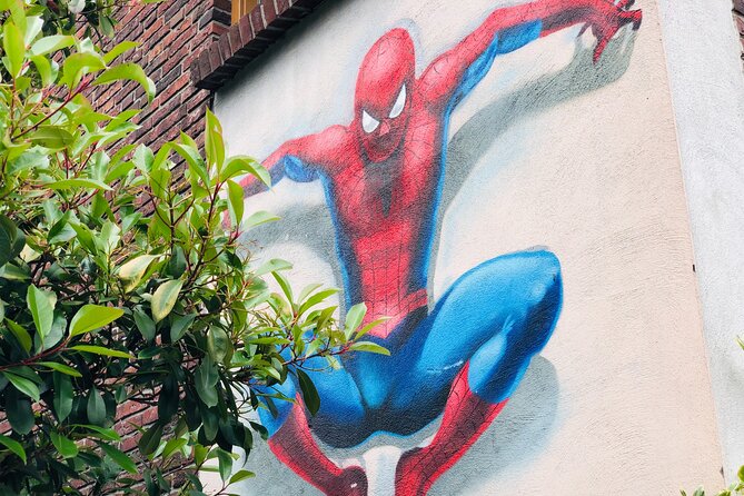 Eindhoven: Self Guided Individual Street Art Tour - Meeting, Pickup, and End Point