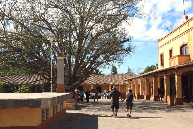 El Tuito Day Trip From Puerto Vallarta With Tequila and Lunch - Questions and Additional Information