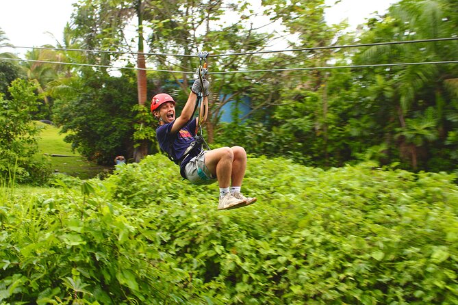El Yunque National Forest Ziplining Experience  - Luquillo - Pricing and Guarantee