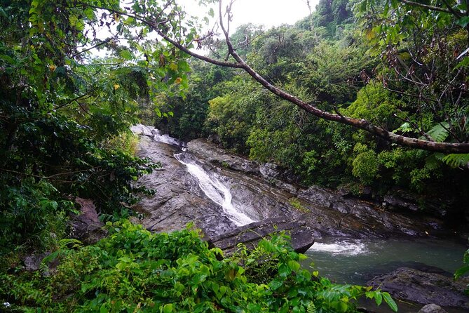 El Yunque Natural Slide and Luquillo Beach-Private Tour of Eastern Puerto Rico - Highlights of the Tour