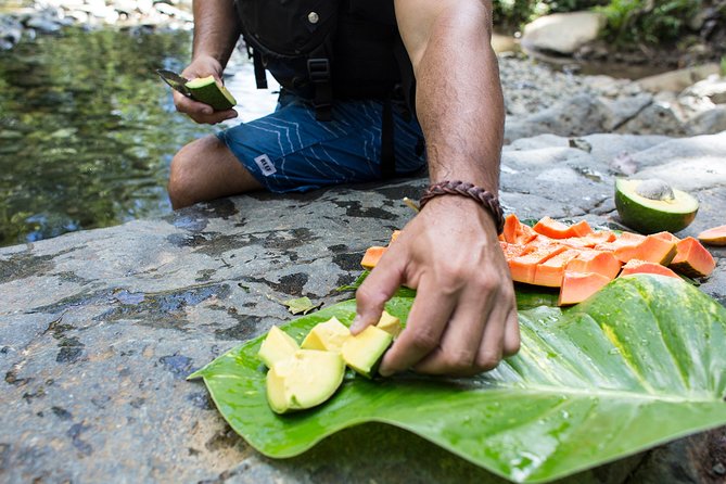 El Yunque Rainforest and Bio Bay Kayaking Combo Tour - Positive Reviews and Recommendations