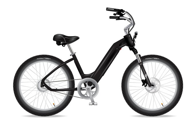 Electric Bike Ride on the Olympic Discovery Trail - Meeting and Pickup