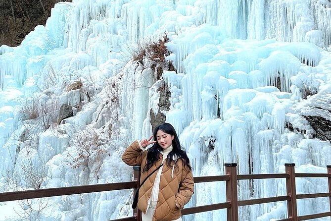 Eobi Ice Valley & Nami Island & Garden of Morning Calm Lighting Festival [Seoul] - Cancellation Policy