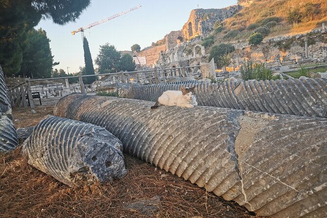 Ephesus Walking Tour - Traveler Photos and Reviews
