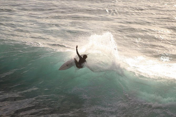 Epic Surf Safari - Best of Maui - Reviews and Testimonials