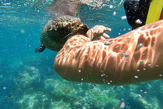 Espiritu Santo Island Day Tour - Additional Recommendations