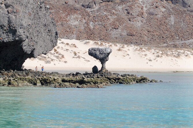 Espiritu Santo Island Tour - Host Response and Commitment