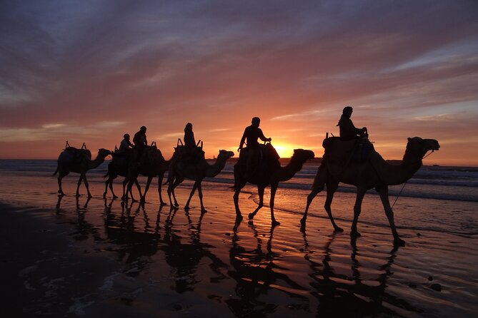 Essaouira 1 Hour Private Camel Ride - The Sum Up