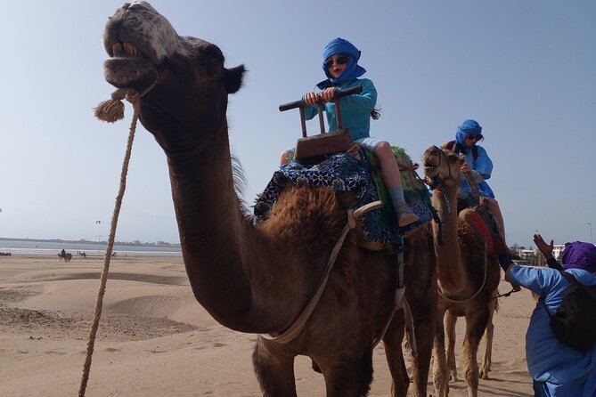 Essaouira: an Unforgettable 2 Hour Ride on a Camel - Accessibility and Health Considerations