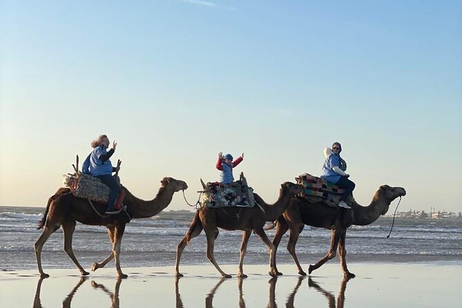 Essaouira Private Camel Ride (1 Hour). - Minimum Traveler Requirement for the Private Camel Ride