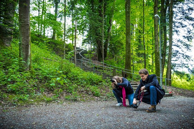 Essential Lucerne Photography Tour - Preserve Memories With Online Photo Gallery