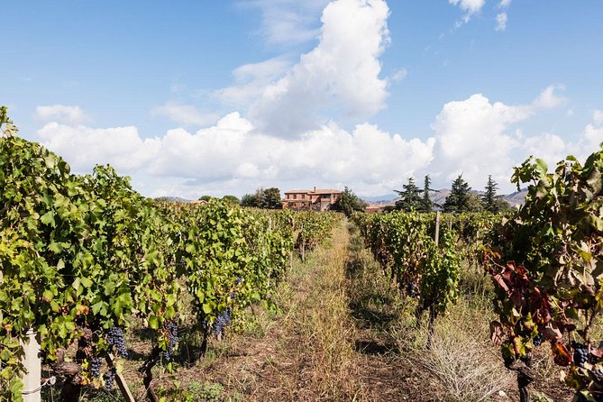 Etna DOC & Organic Wine Tasting and Tour of the 1815 Historic Winery - Meeting and Logistics Information