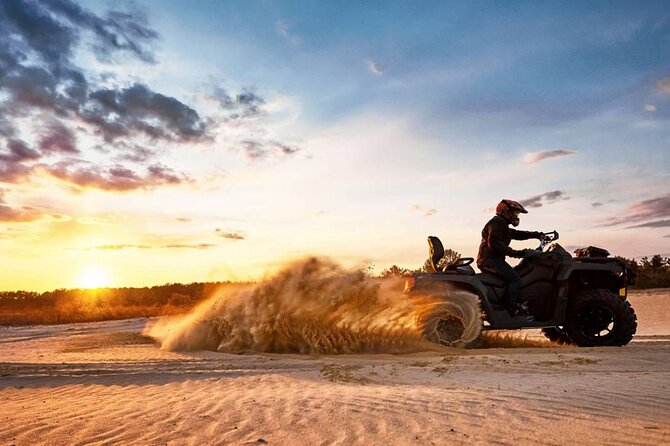 Evening Desert Safari With BBQ Dinner - Traveler Photos