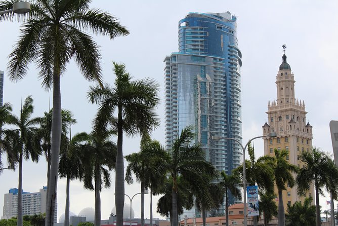Everglades & Miami City Tour With Experienced Guide in Small Group - Confirmation and Accessibility