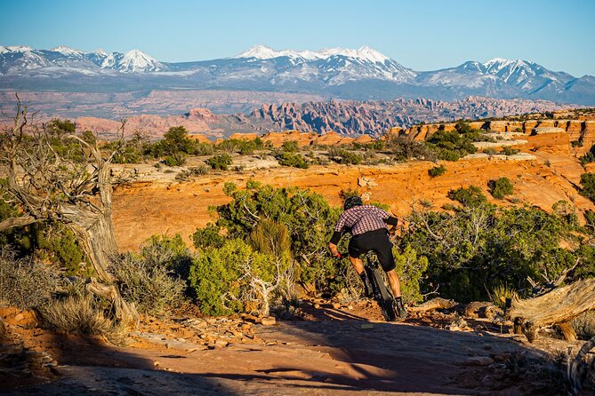 Exclusive Intermediate Advanced Private Guided Mountainbike Tour - Advanced-Level Trails