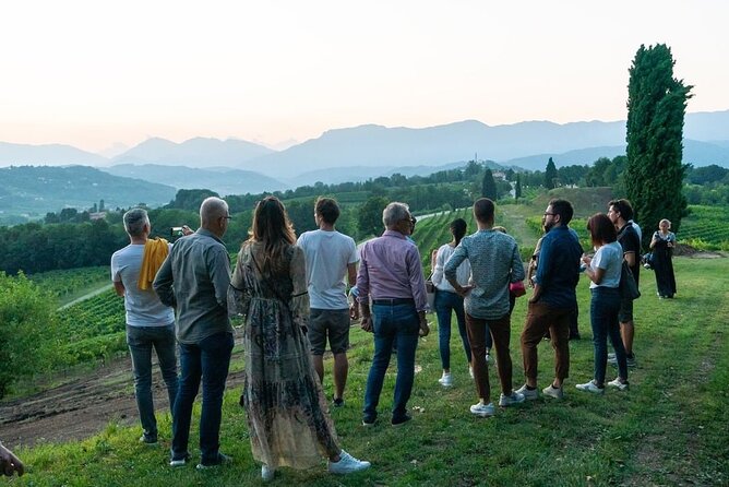 Exclusive Tour of the Vineyards With Visit to the Cellar! - The Sum Up