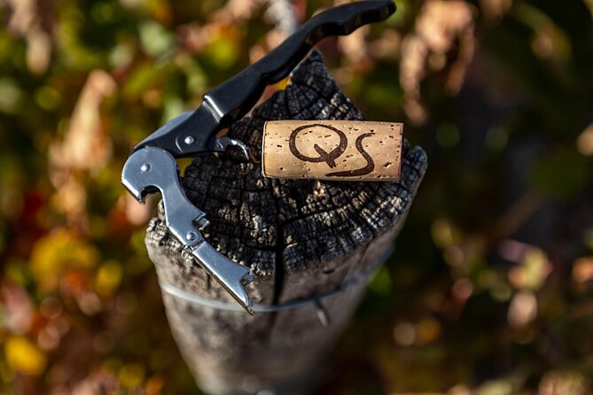 Exclusive Winery Tour and Tasting in the Golden Mile - Food Pairings and Culinary Delights