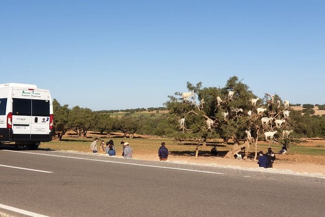 Excursion Essaouira From Marrakech - Additional Information for Interested Travelers