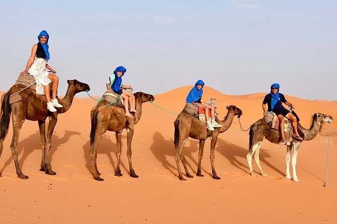Excursion From Ouarzazate to Vallee Du Draa, Zagora and Dunes De Tinfou - Pricing and Booking Information
