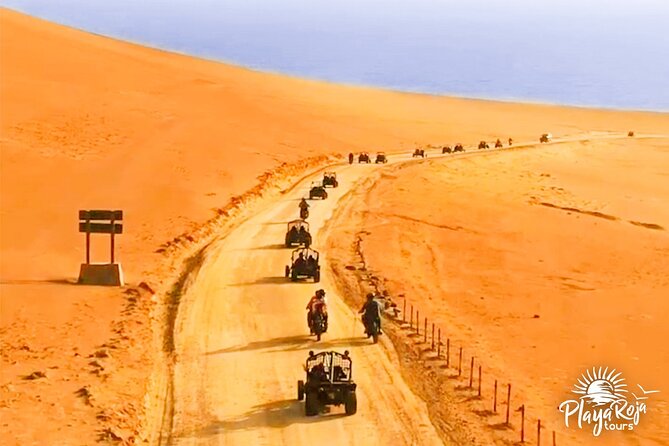 Excursion in Minibuggys in Paracas National Reserve - The Sum Up