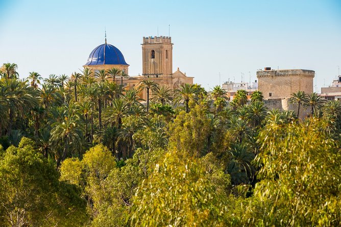 Experience the World Heritage City of Elche Private Tour - Enjoy Personalized Guided Tours