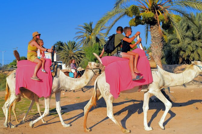 Explore Djerba With Our Four-Legged Friends - Important Considerations for Participants