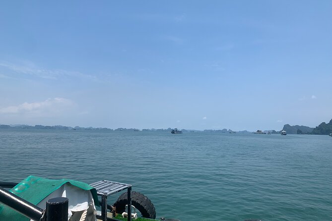 Explore Halong Bay With Local Tour Guide, Buffet Lunch - Pricing