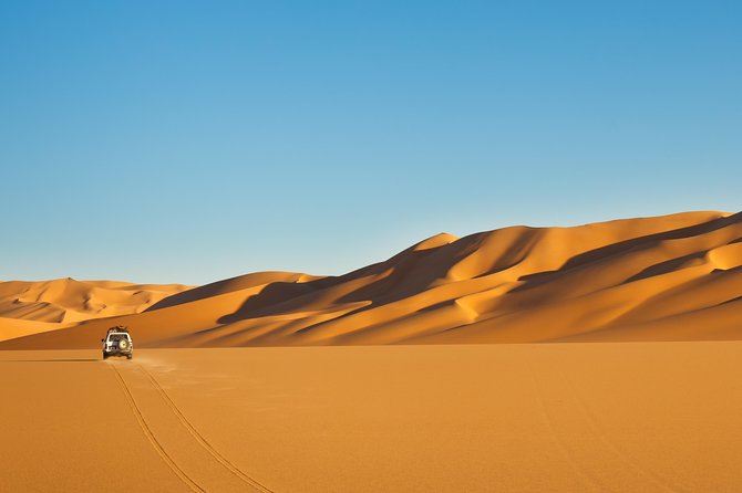 Explore Liwa Full Day Desert Safari - Lunch at an Oasis: A Refreshing Break