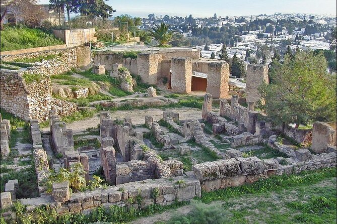 Explore the Essentials of Tunis in a Private Half Day - Medina Exploration