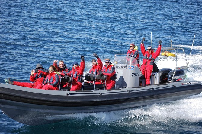Express Whale Watching by RIB Boat From Akureyri - The Sum Up