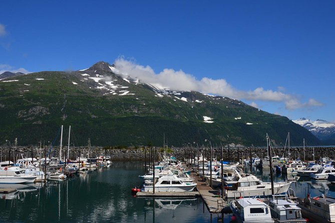 Exquisite Wildlife & Wilderness Photo Tour Anchorage -Whittier - Bird Creek and Virgin Creek Falls Trail
