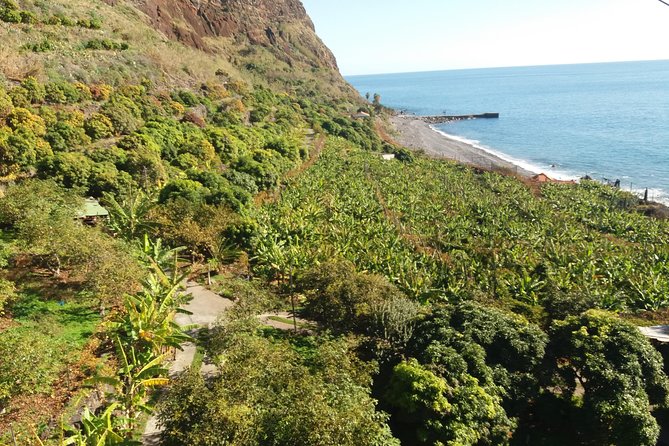 Fajã Dos Padres Organic Farm Tour With Cable Car Ticket  - Madeira - Common Questions