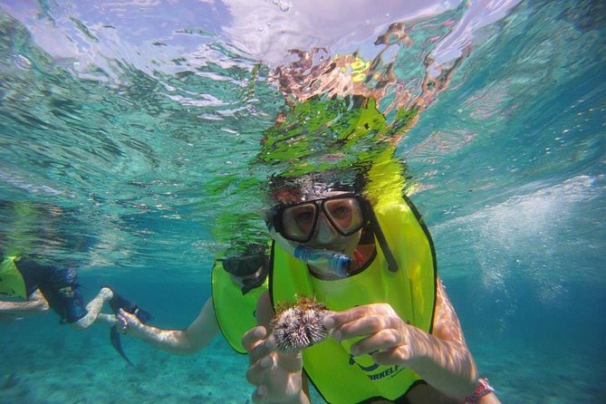 Fajardo Afternoon Snorkeling Boat Tour - The Sum Up