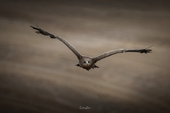 Falconry Experience in Tuscany - Meeting Point Location