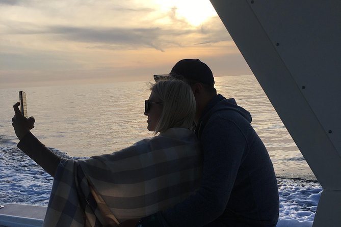 Family and Private Group Whale and Dolphin Watching - Additional Information