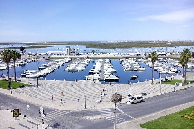 Faro City Tour on Electric Tuk Tuks - Pricing and Terms