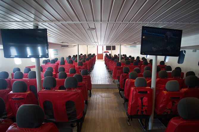 Ferry Transfer From Krabi Klong Jilad Pier to Phi Phi Tonsai - The Sum Up