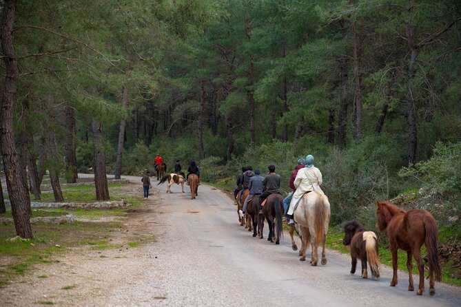 Fethiye Horse Riding Experience With Free Hotel Transfer Service - Common Questions