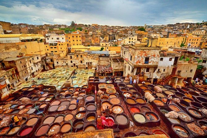 Fez Guided Tour With Lunch From Casablanca - Overall Experience