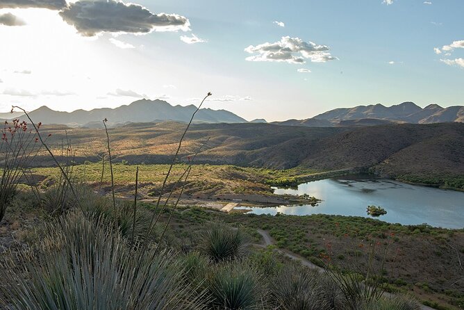 Fine Wineing - a Wine Tasting Experience in the Vineyards of the Desert! - Questions and Assistance